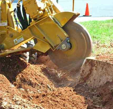 stump grinding service