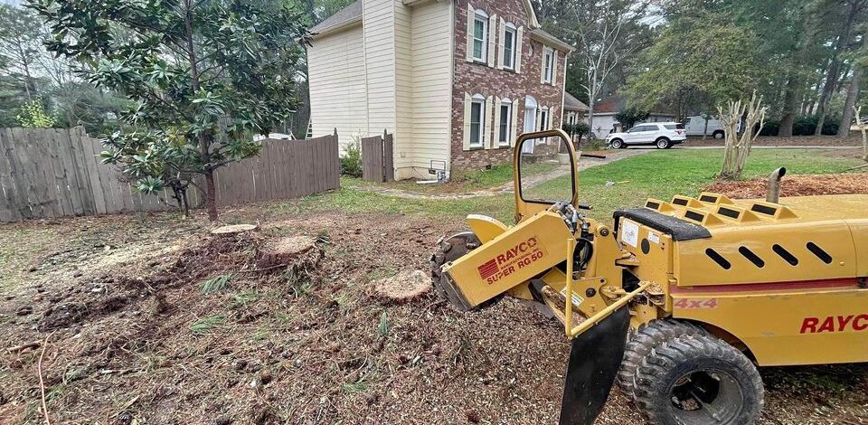 stump grinding4
