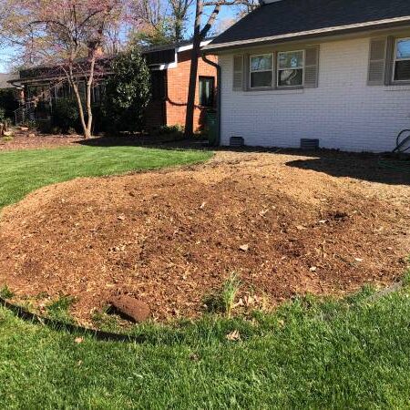stump grinding2025-1