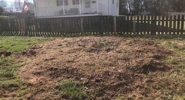 stump grinding2025-5